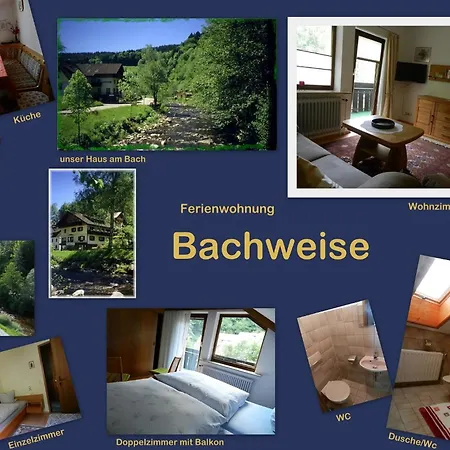 Lägenhet In Schoenmuenzach