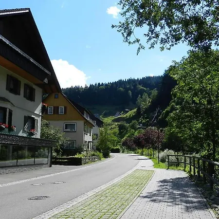Lägenhet In Schoenmuenzach