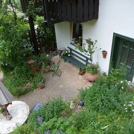 Lägenhet In Schoenmuenzach *