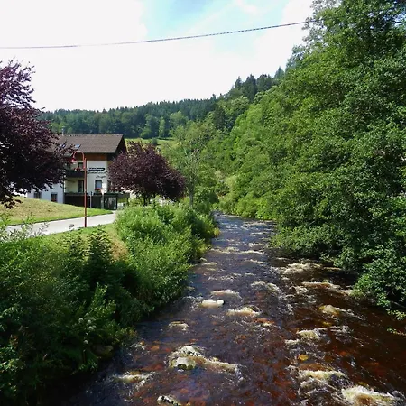In Schoenmuenzach Lägenhet