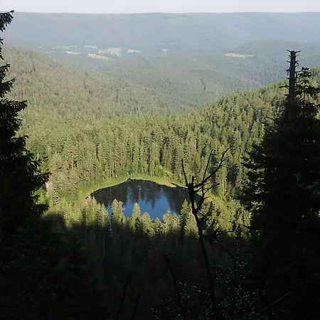 In Schoenmuenzach * Baiersbronn