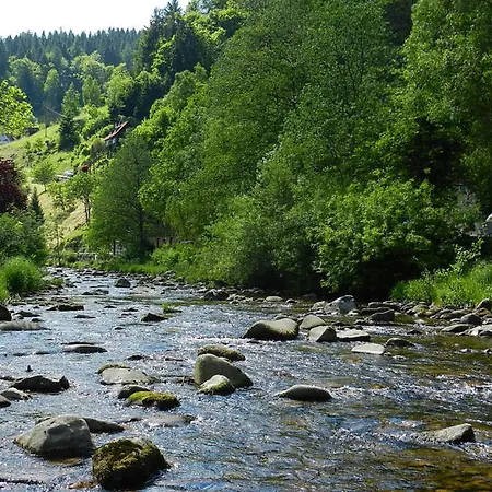 In Schönmünzach