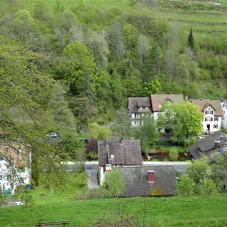 In Schoenmuenzach Lägenhet *
