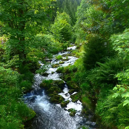 Lägenhet In Schoenmuenzach *