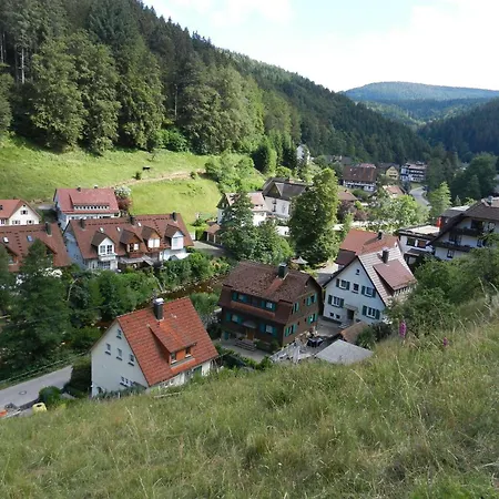 Lägenhet In Schoenmuenzach Baiersbronn
