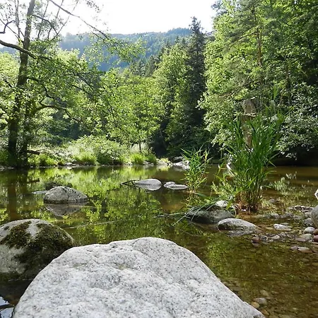 In Schönmünzach *