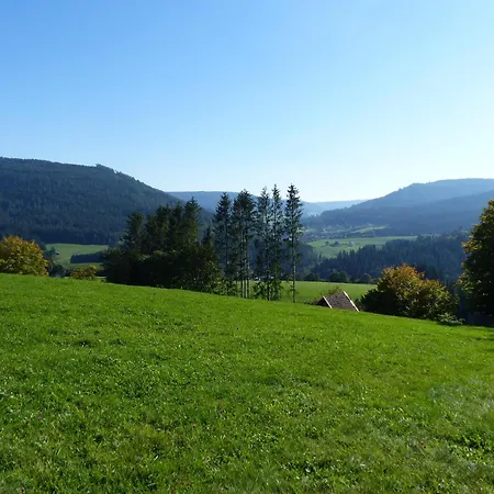 In Schönmünzach Baiersbronn