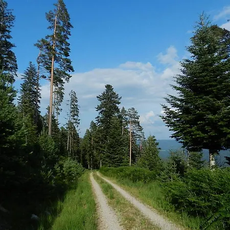 In Schönmünzach * Baiersbronn