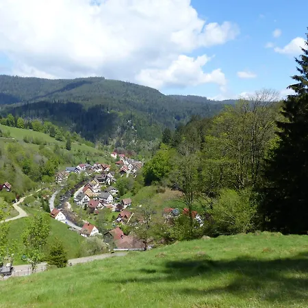 In Schoenmuenzach Lägenhet