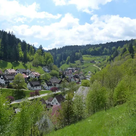 Lägenhet In Schoenmuenzach