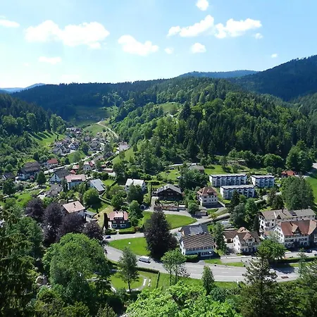 In Schoenmuenzach Lägenhet *