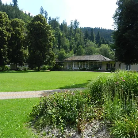 In Schoenmuenzach Baiersbronn