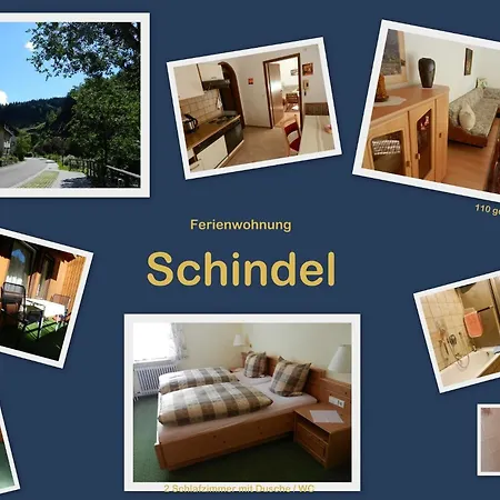 Lägenhet In Schoenmuenzach