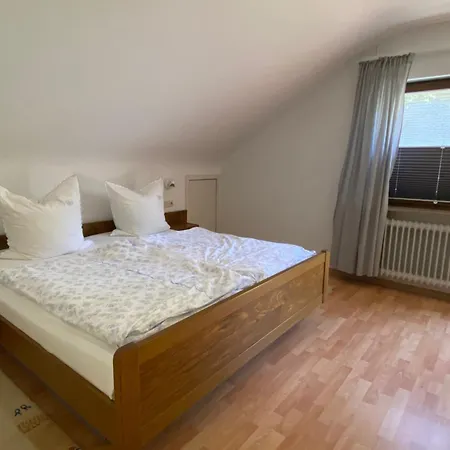 In Schoenmuenzach شقة